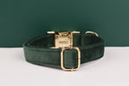 Velvet Personalized Dog Collar, Leash & Harness Set