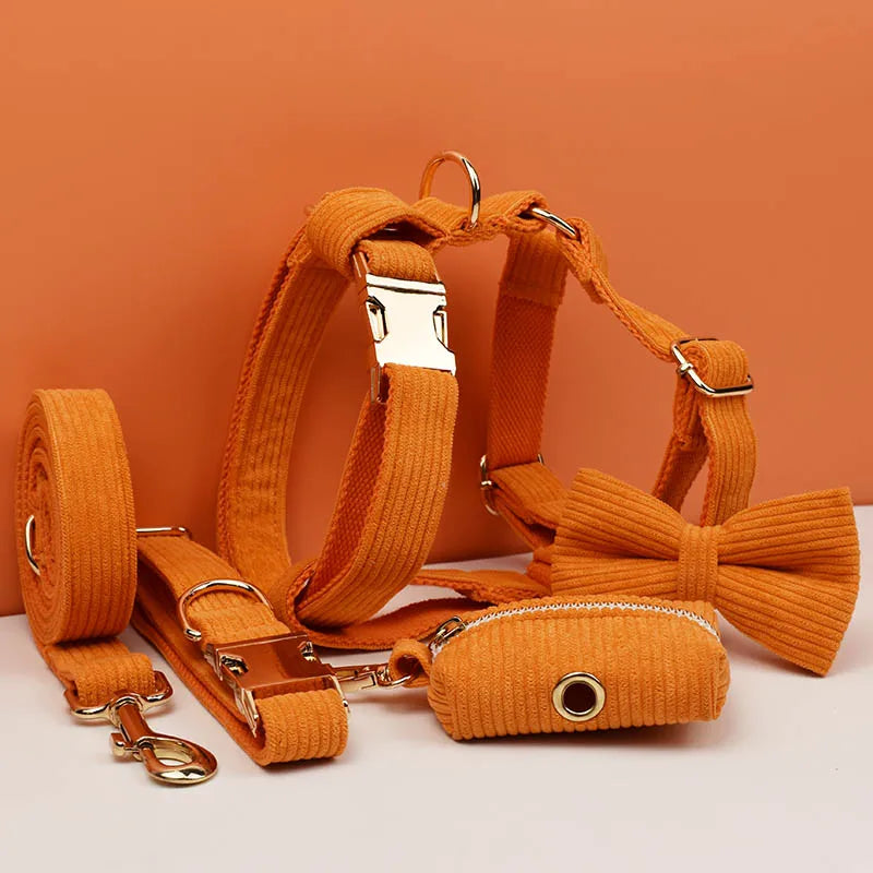 Orange Corduroy Personalized Dog Collar, Leash & Harness Set