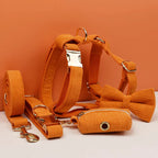 Orange Corduroy Personalized Dog Collar, Leash & Harness Set