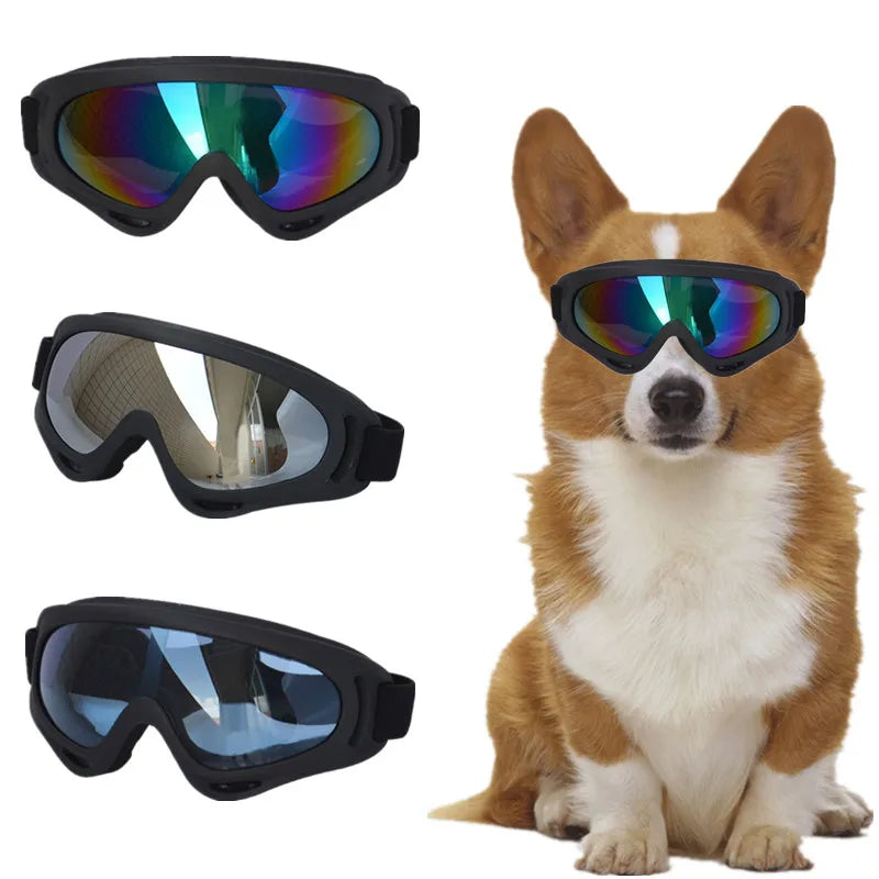 Pet Sunglasses – UV-Proof, Waterproof Goggles for Large Dogs and People