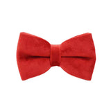 Bowtie