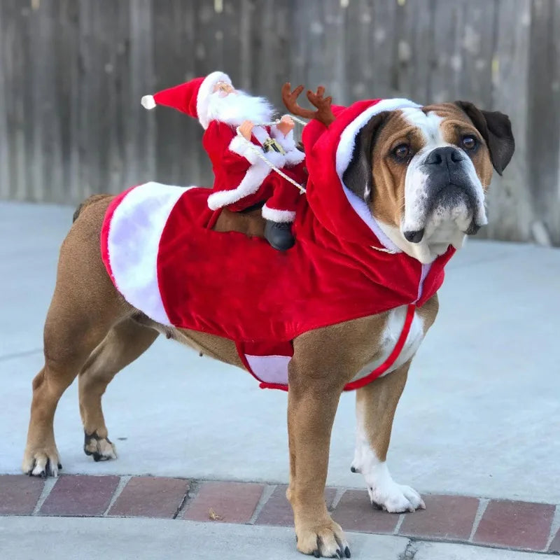 Santa Claus Riding Dog Costume – Funny Christmas Outfit for Small, Medium & Large Dogs