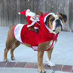 Santa Claus Riding Dog Costume – Funny Christmas Outfit for Small, Medium & Large Dogs