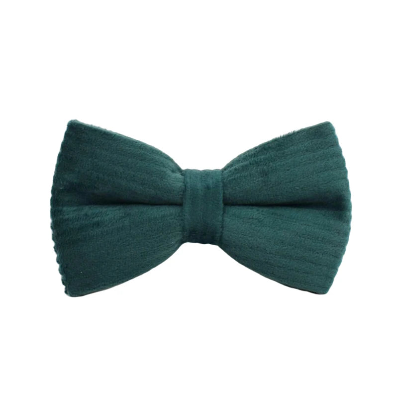 Dark green Corduroy Personalized Dog Collar, Leash & Harness Set