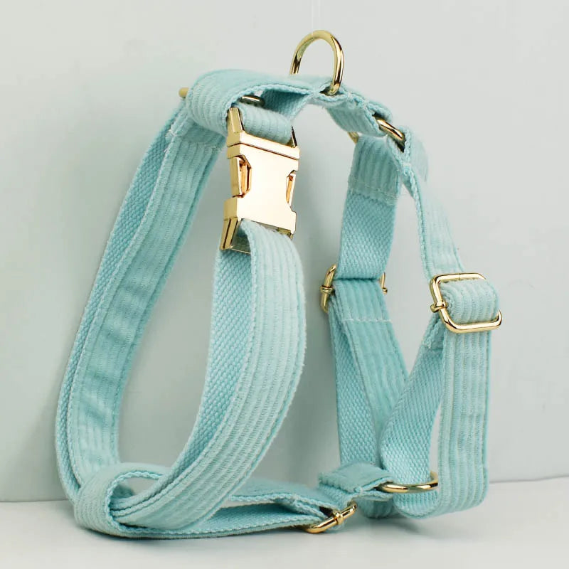 Lake Green Corduroy Personalized Dog Collar, Leash & Harness Set
