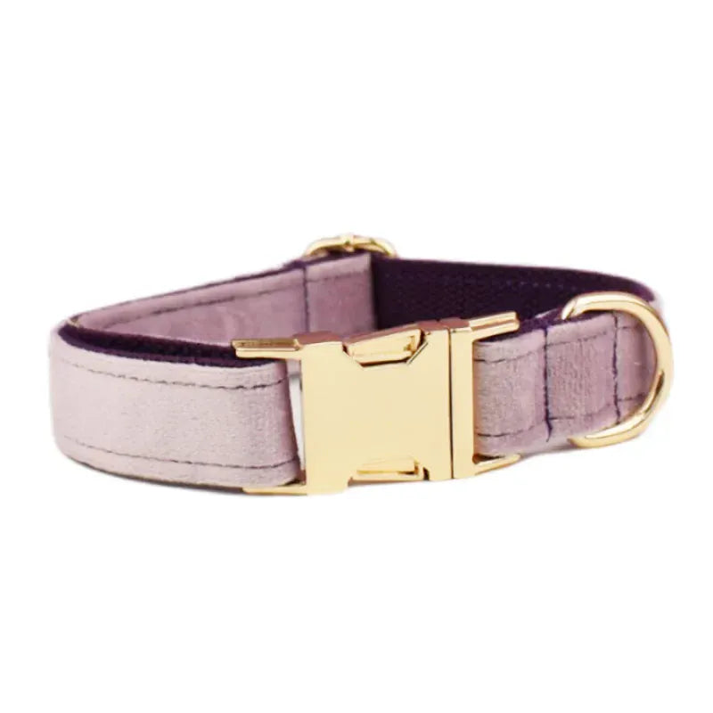DDPaws  Collar / XS Deep Purple Velvet Set
