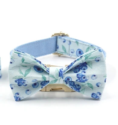 Summer Fruit Personalized Dog Bowtie Collar and Leash Set, Custom Laser Pet Necklace, Cute Pet Accessory