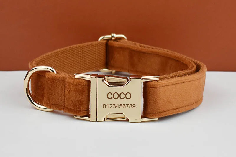 Ancient Pottery Velvet Personalized Dog Collar, Leash & Harness Set