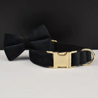 Black Velvet Personalized Dog Collar, Leash & Harness Set