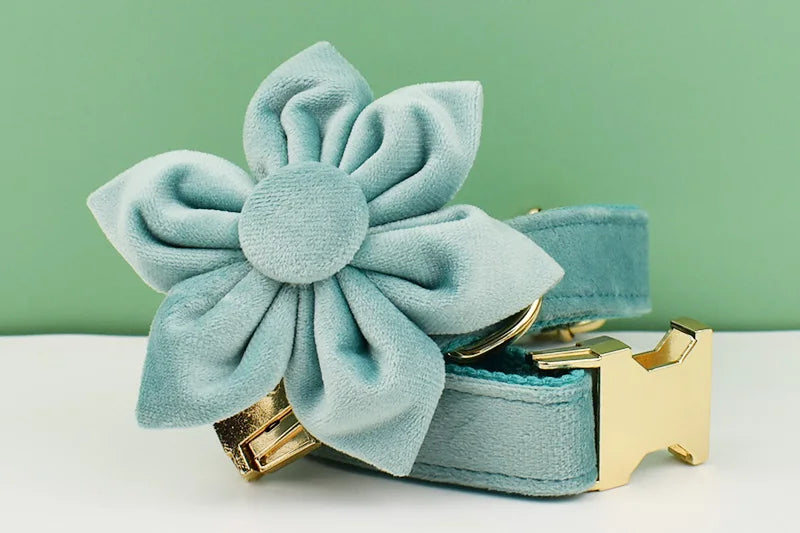 Green Velvet Personalized Dog Collar, Leash & Harness Set