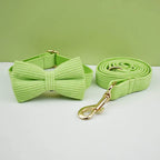 Apple Fruit Green Corduroy Personalized Dog Collar, Leash & Harness Set