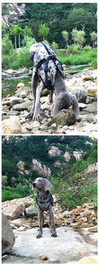 Waterproof Dog Jacket with Built-in Harness – Warm Winter Coat for Small to Large Breeds