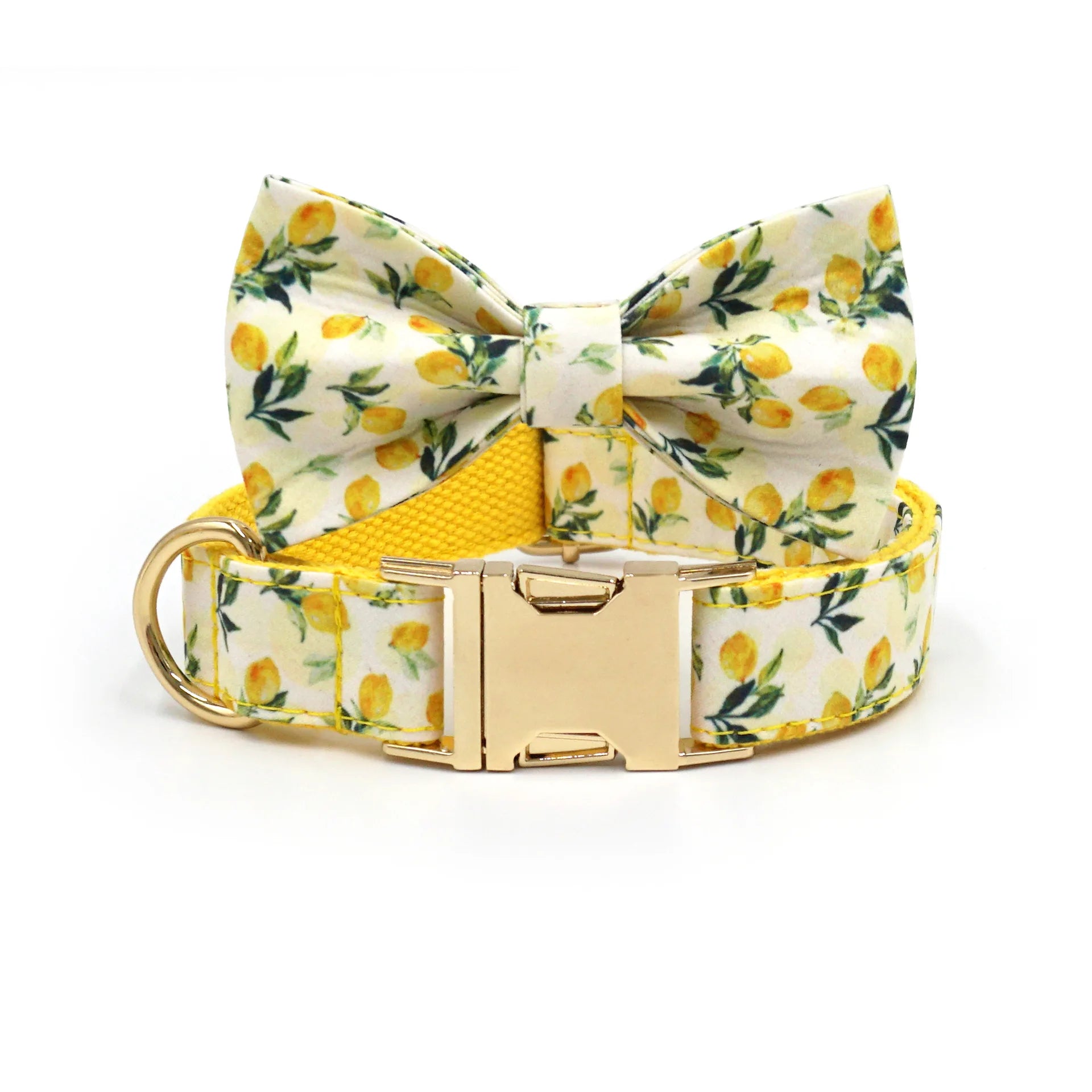 Summer Fruit Personalized Dog Bowtie Collar and Leash Set, Custom Laser Pet Necklace, Cute Pet Accessory