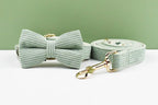 High Quality Light Green Corduroy Dog Collar, Harness & Leash Set – Personalized Engraved Nameplate, Padded
