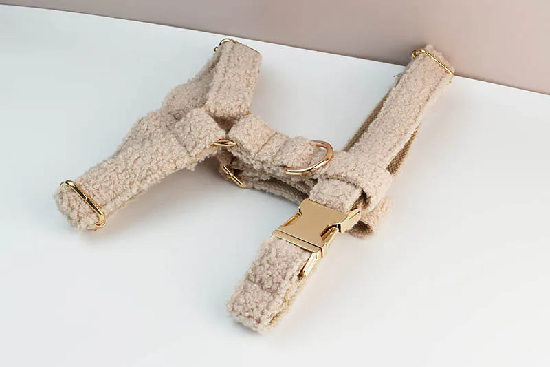 Teddy Velvet Personalized Dog Collar, Leash & Harness Set