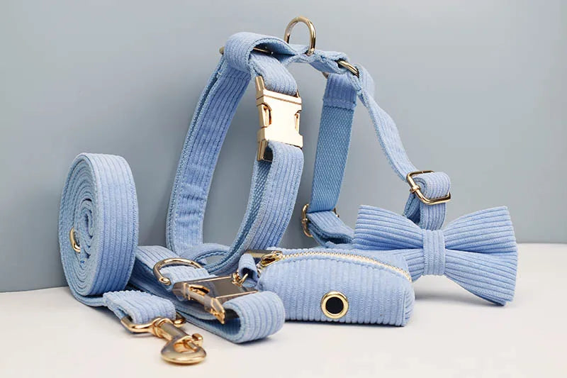 Blue Corduroy Personalized Dog Collar, Leash & Harness Set