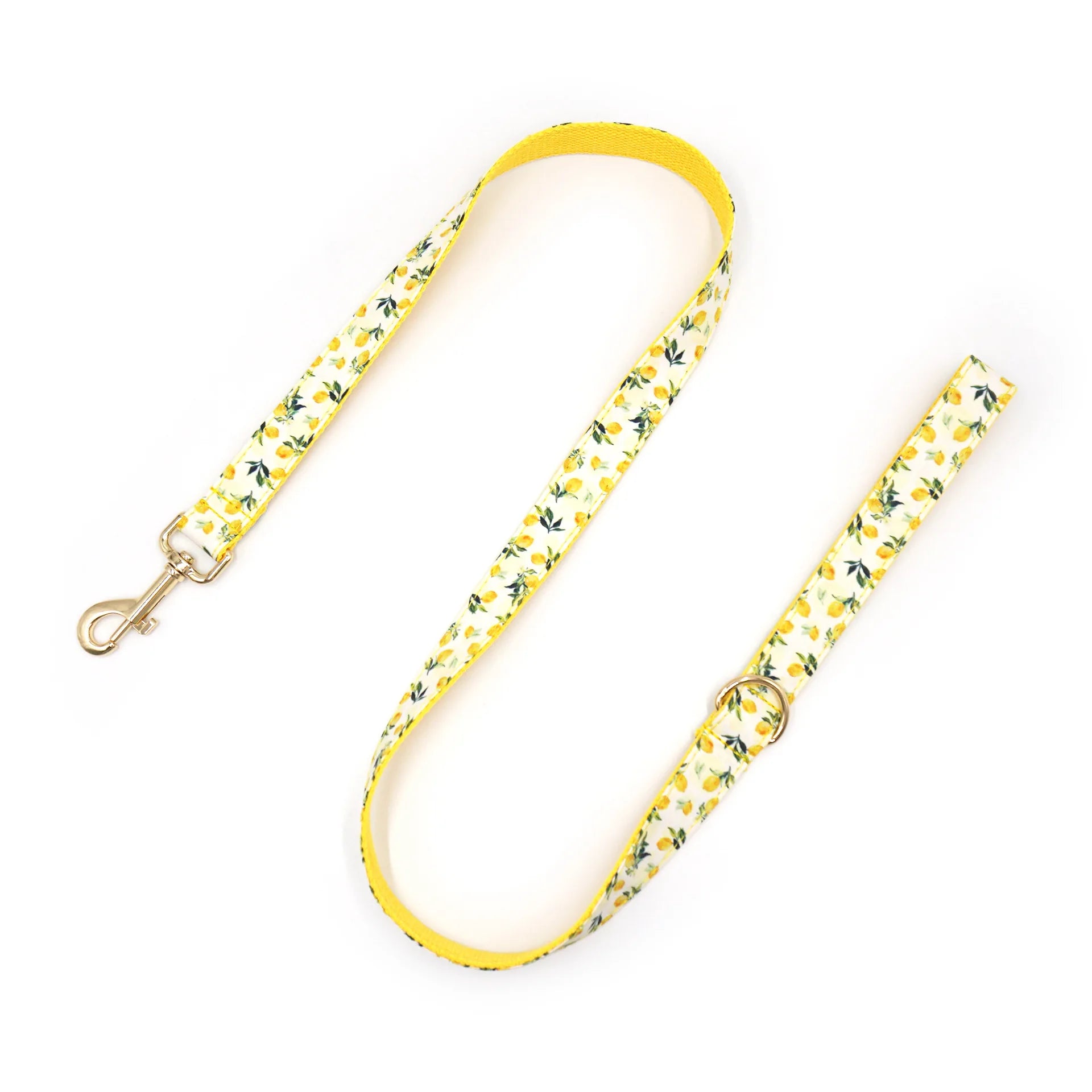 Summer Fruit Personalized Dog Bowtie Collar and Leash Set, Custom Laser Pet Necklace, Cute Pet Accessory