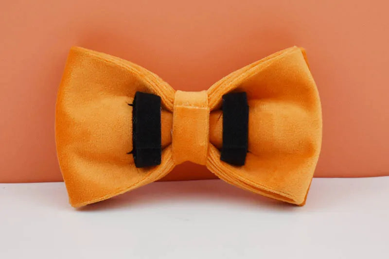 Orange Velvet Personalized Dog Collar, Leash & Harness Set