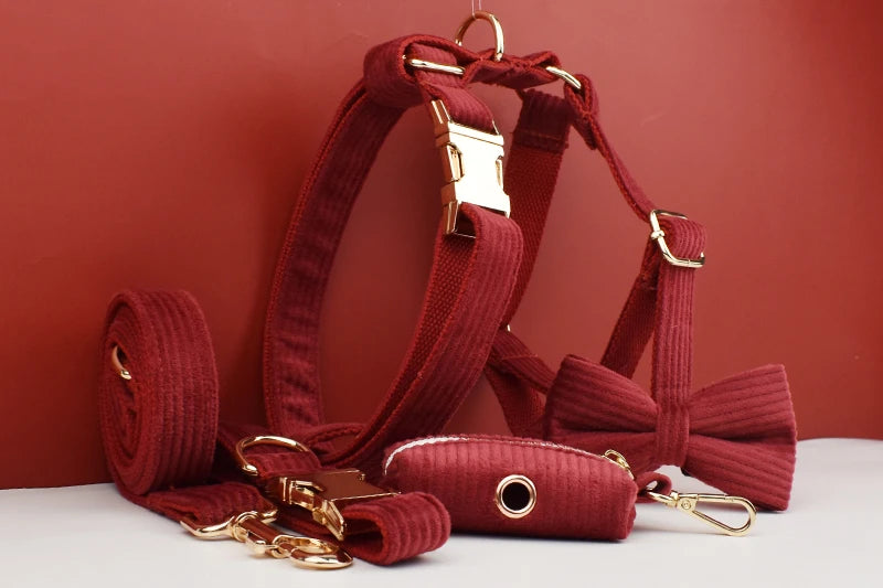 Personalized Dog Collar, Leash & Harness Set