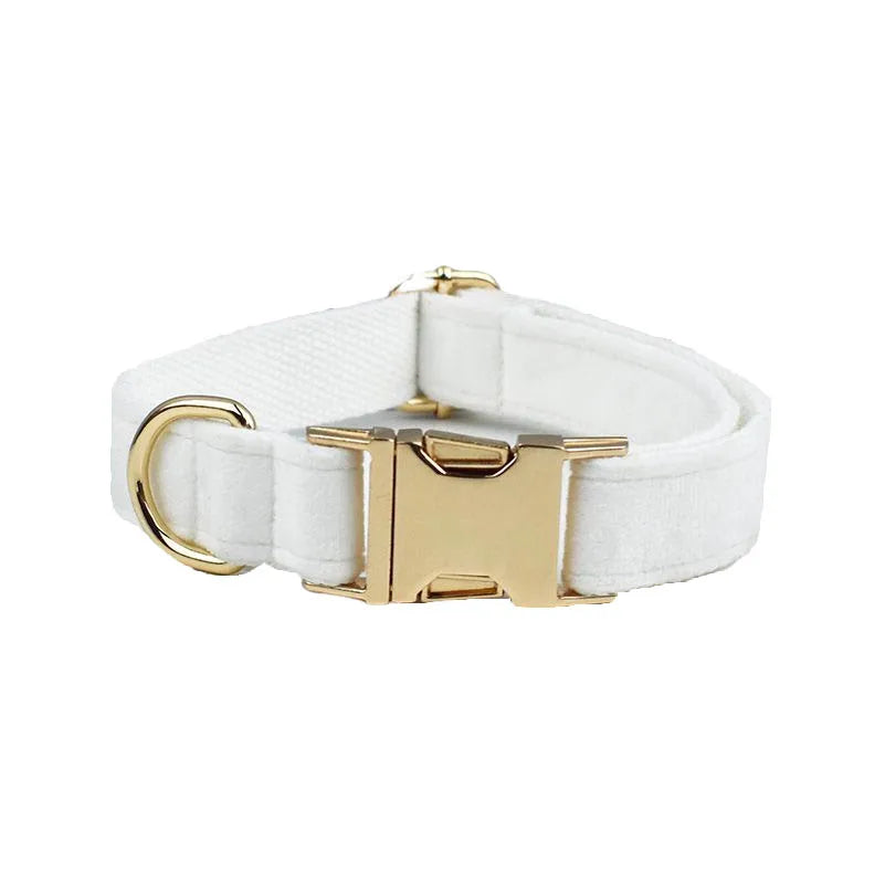 White Velvet Personalized Dog Collar, Leash & Harness Set