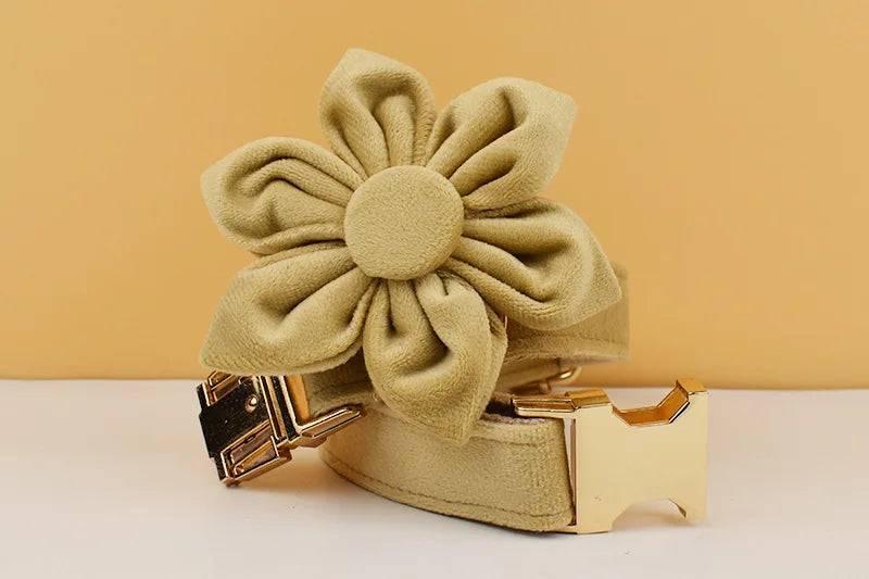 Nude Velvet Personalized Dog Collar, Leash & Harness Set