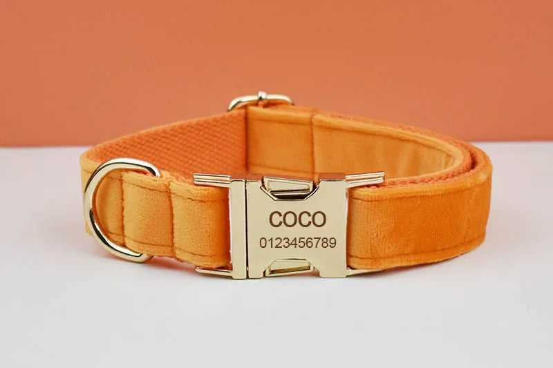 Orange Velvet Personalized Dog Collar, Leash & Harness Set