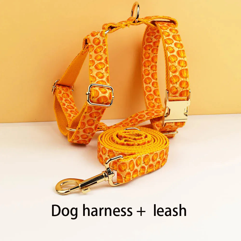 DDPaws  Harness + Leash / XS Halloween Pumpkin Print Set