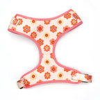 Designed Autumn Dot Dog Vest Set