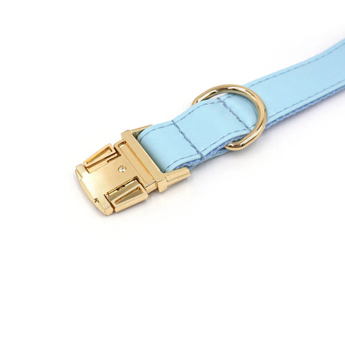 Customized Colorfule Waterproof Pet Collars PU Leather Dog Adjustable Puppy Dog Necklace Durable Pet Leads Accessory