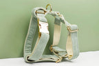 High Quality Light Green Corduroy Dog Collar, Harness & Leash Set – Personalized Engraved Nameplate, Padded