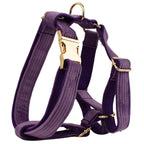 Purple Corduroy Dog Collar Leash and Harness Set