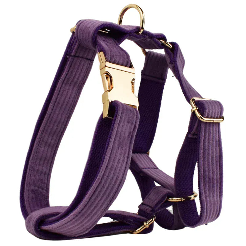 Purple Corduroy Dog Collar Leash and Harness Set