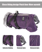 Winter Dog Jacket with Harness – Waterproof, Windproof Coat for Small & Medium Dogs