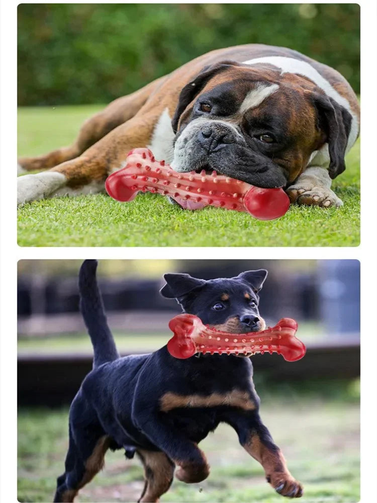 Natural Rubber Dog Bone – Durable Chew Toy for Teeth Cleaning & Training