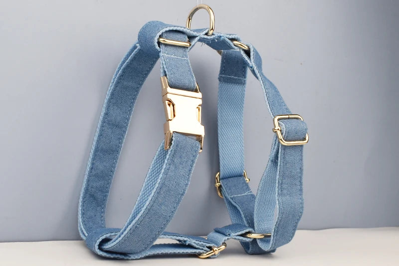 Personalized Dog Collar, Leash & Harness Set