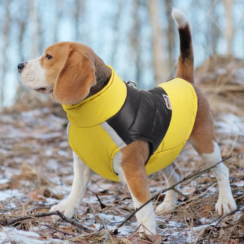 Waterproof Winter Dog Vest – Warm, Padded Coat for Small & Large Breeds