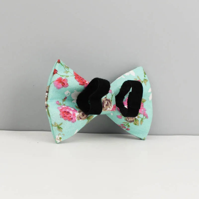 Personalized Dog Collar, Leash & Harness Set