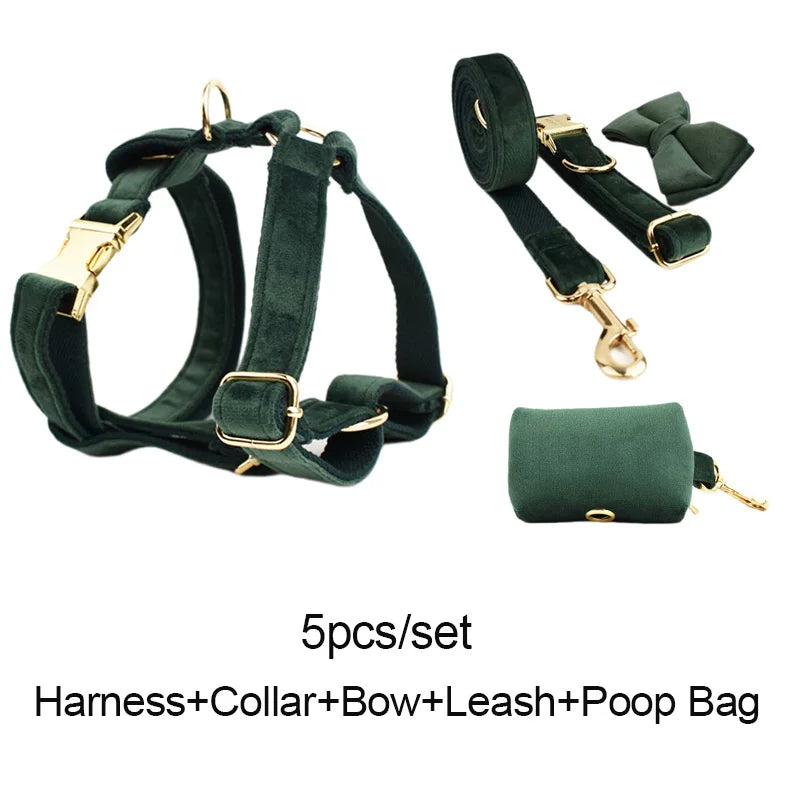 Velvet Personalized Dog Collar, Leash & Harness Set