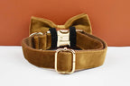 Light Coffee Color Velvet Personalized Dog Collar, Leash & Harness Set