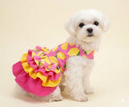 Floral Cotton Dog Dress