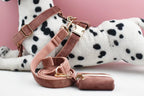 Pink Velvet Personalized Dog Collar, Leash & Harness Set
