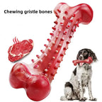 Natural Rubber Dog Bone – Durable Chew Toy for Teeth Cleaning & Training