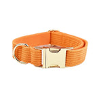 Orange Corduroy Personalized Dog Collar, Leash & Harness Set