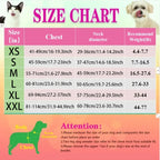 Reflective Dog Harness & Leash Set – Adjustable Comfort Vest for Small & Medium Dogs