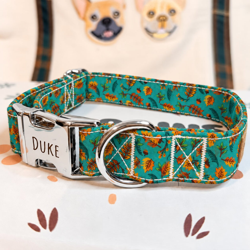 Designed Teal Autumn Leaves Dog Harness Set