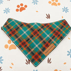 Designed Teal and Orange Plaid Dog Harness Set
