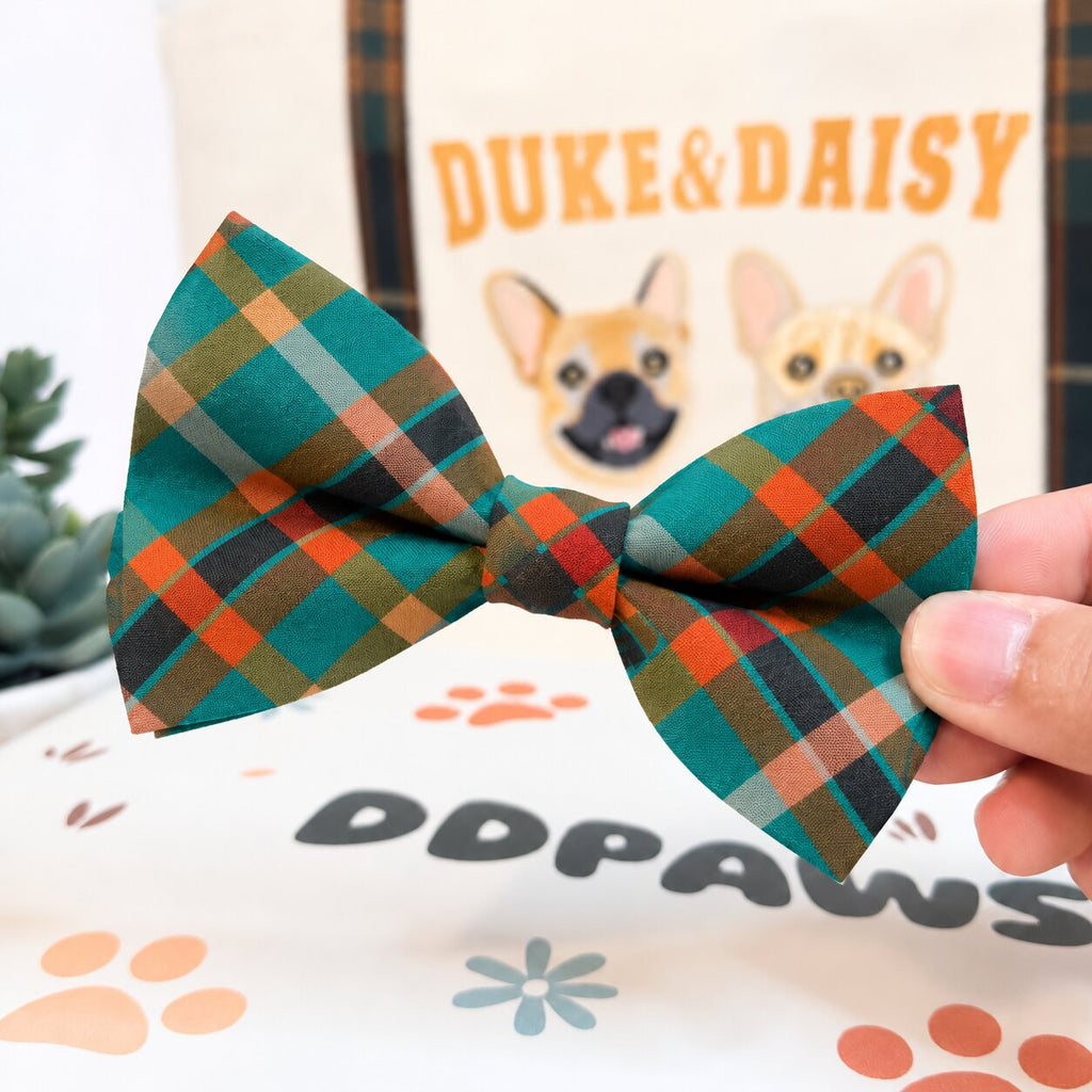 Designed Teal and Orange Plaid Dog Harness Set