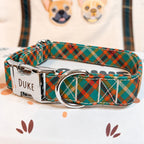 Designed Teal and Orange Plaid Dog Harness Set