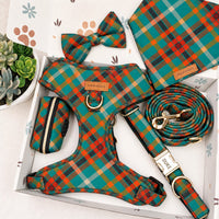 Designed Teal and Orange Plaid Dog Harness Set