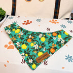 Designed Tropical Lemon Dog Harness Set